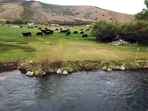 Riverfront Agricultural Land with Water Rights
