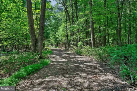 Wooded Mountain Hunting Land