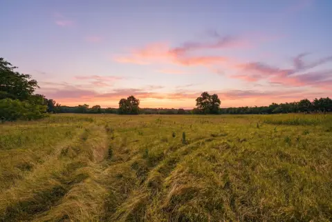 Unrestricted Ag & Hunting Land