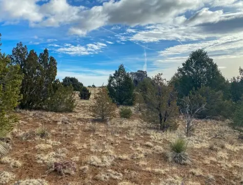 Land in Tijeras, New Mexico
