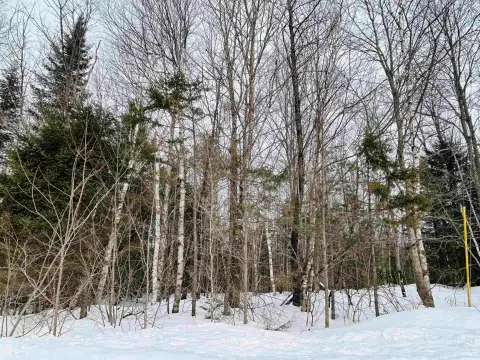 Stratford, NH Land with Views