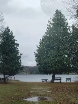 Land in Lachine, Michigan