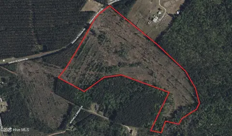 Timber Hunting Land