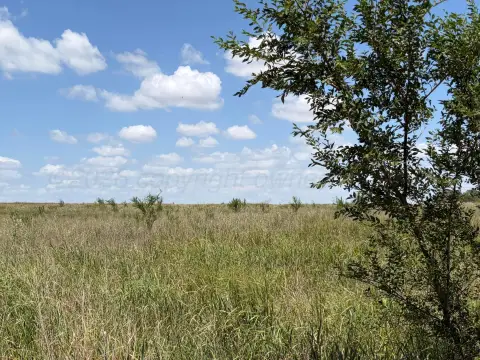 Agricultural Land Tract With Fencing