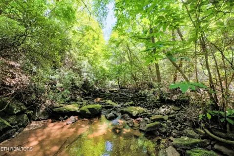 Unrestricted Waterfront Land Parcel