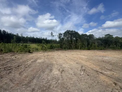 Citronelle Vacant Land Opportunity