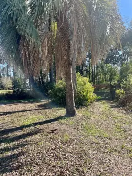 Residential Land in Douglas, Georgia
