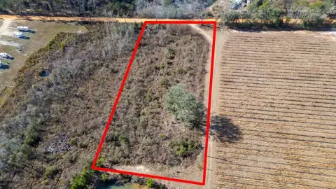 Undeveloped Land with Potential