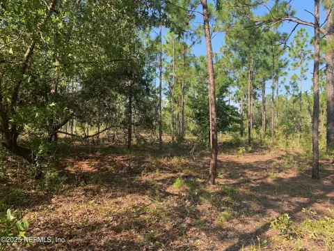 Wooded Lot in Hawthorne, FL