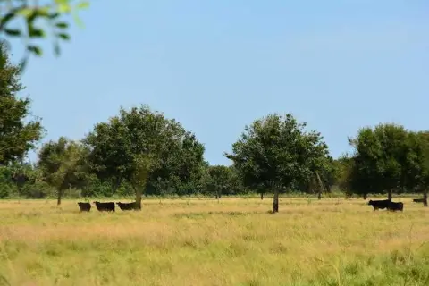 A-1 Agricultural Land with Artesian Wells