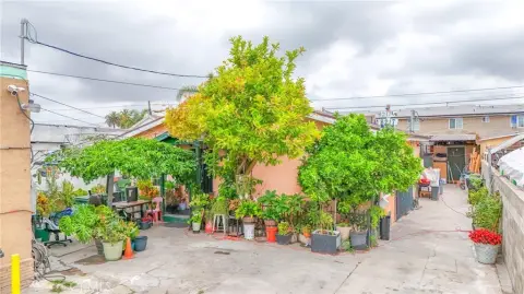 Residential Triplex for Sale