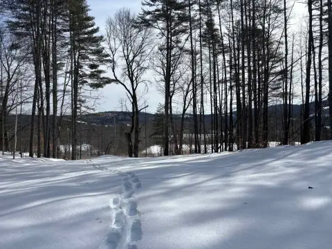 57 Acres of Vermont Land