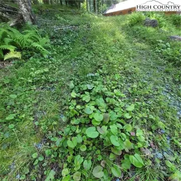 Beech Mountain Land For Sale