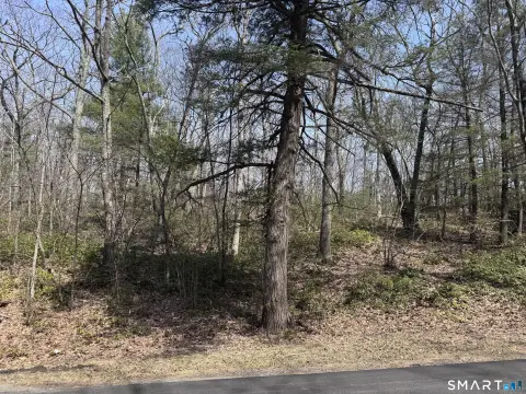 Land in Quiet Warren, CT