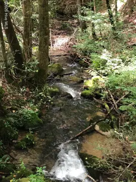 Creekside Land With Building Sites