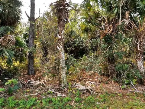 Double Lot in North Port