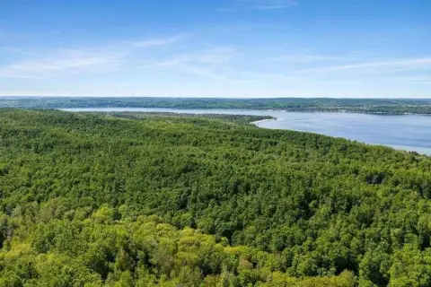 Wooded Hunting Land