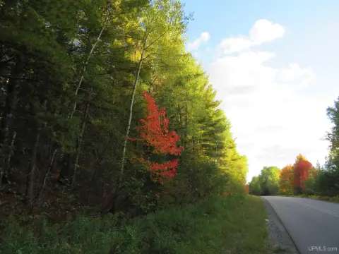 Wooded Hunting Land