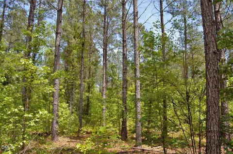 Residential Forestry & Agricultural Land
