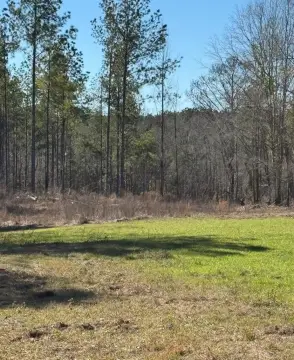 62 Acres Hunting Land Homesite