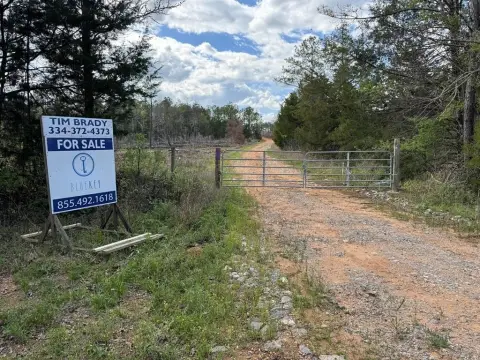 528 Acres of Planted Pines