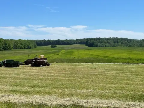 Pristine Land with Conservation Easement