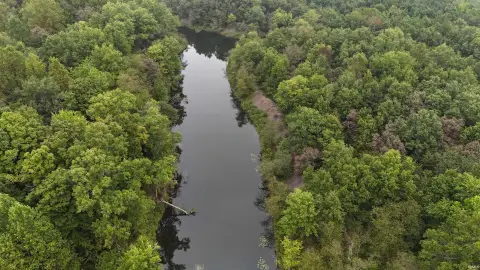 Wooded Land with Lake Frontage
