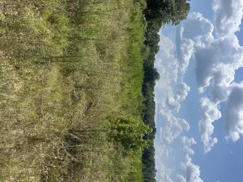 Hunting Land with Creek