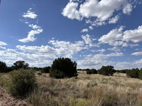 Land in Pinon Springs Ranches