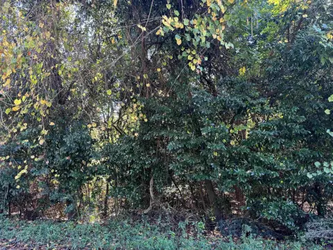 Residential Lot in Warner Robins