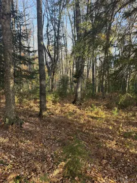 Creekfront Hunting Land