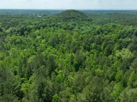 Wooded Hunting Land