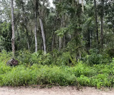 Satsuma, FL Building Lot