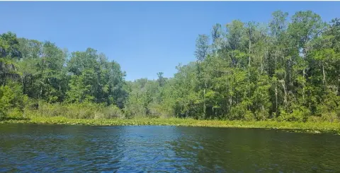 Waterfront Land on Withlacoochee River