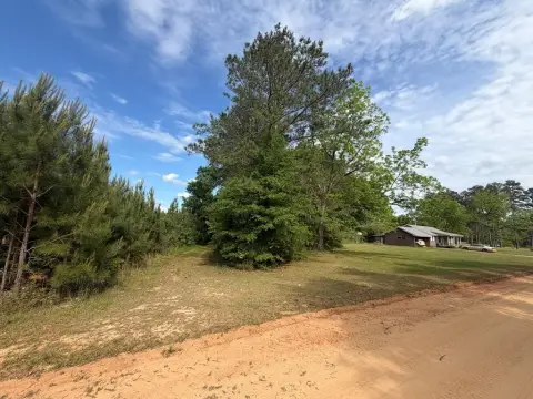 Income-Producing Land in Brantley, AL
