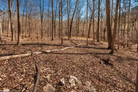 Residential Land in Tranquil Setting