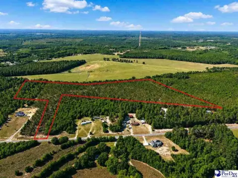 25+ Acres Planted Pines, Patrick