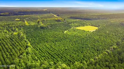 Hunting Land with Trail System