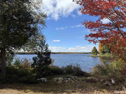 Wooded Waterfront Land