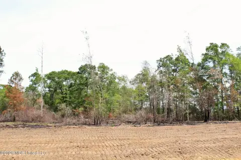Lucedale Land in Growing Area