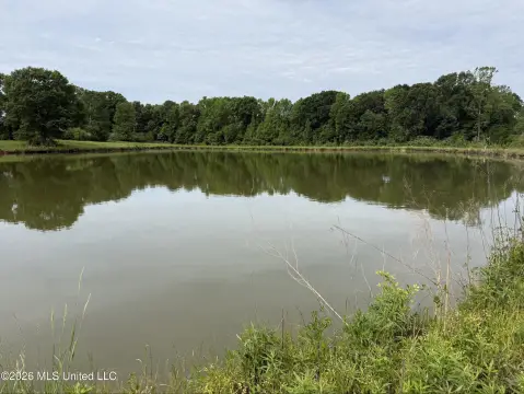 Pasture Land with Homesite Potential