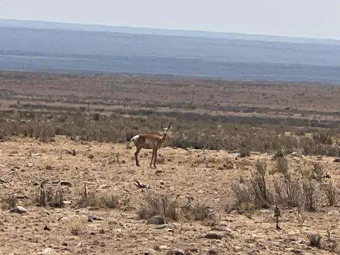 20 Acres Untouched Beauty