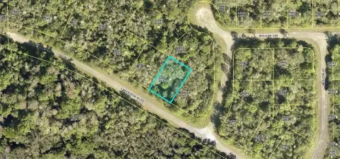 Lehigh Acres Buildable Lot