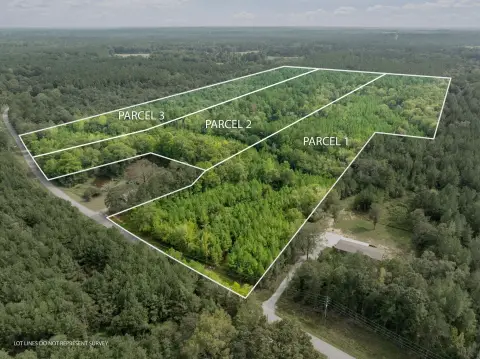 Surveyed Wooded Hunting Land