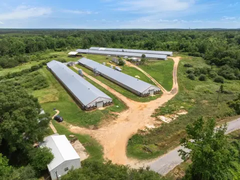 Poultry Farm with Production Improvements