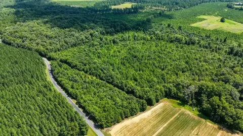 Wooded Country Home Site Land