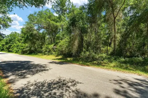 Residential Lot in Citrus Springs