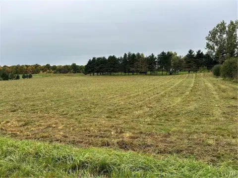 Cleared Land Ready For Building