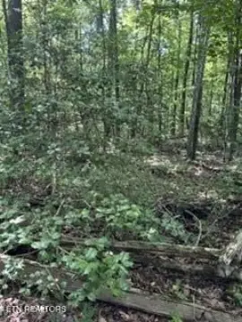 Unrestricted Hunting/Recreation Land
