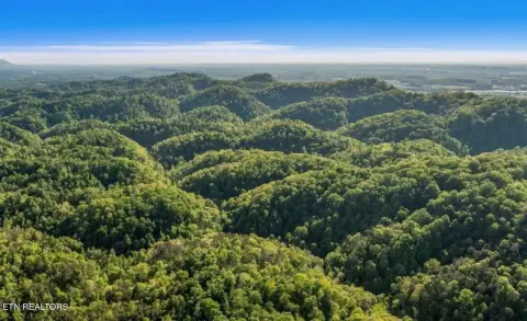 Waterfront Hunting Land Tract